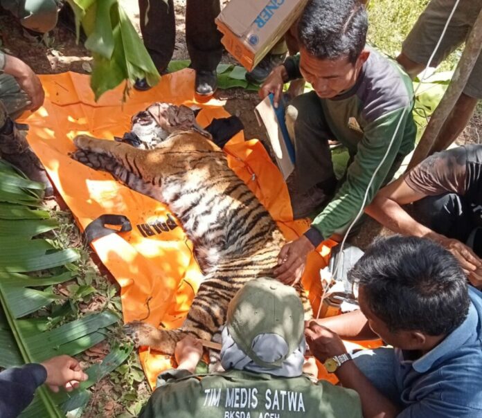 4e27dc6a54c37e1544bd3b17ed45a6b8