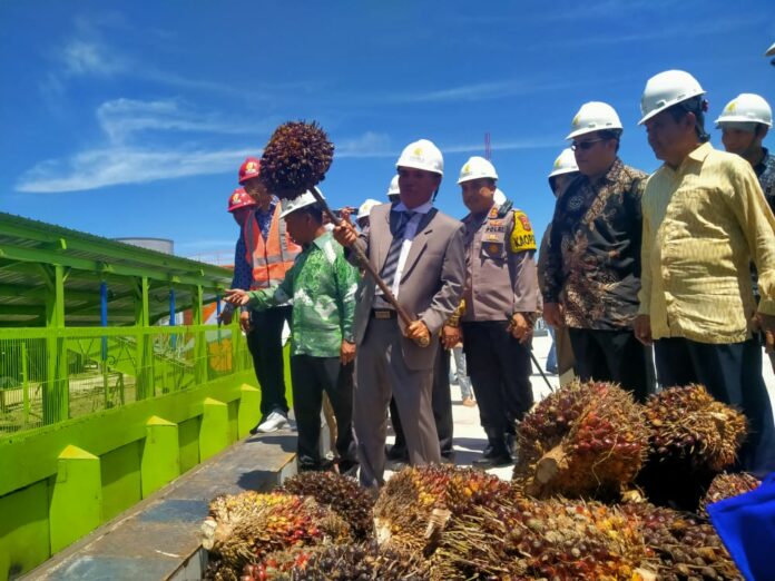 510015da64db5bf54671b95e140a0010