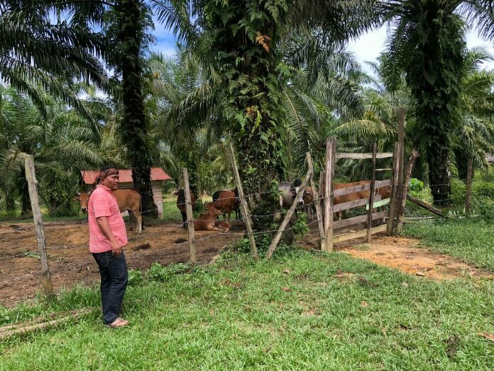 5847a24b3c708d050161f8d9f3aa743a