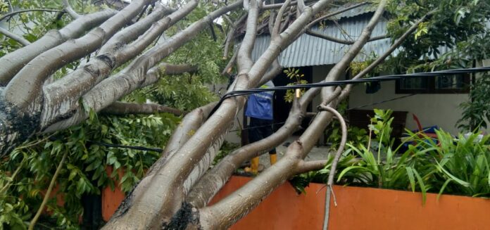 665ce4018dad770f93b5f8d0326f9678