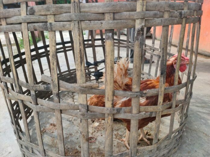 6667f40e8f80bfa6dfe4866b6aec80ab