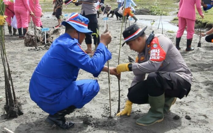 74ab8544fdeaebeca494b93be35decdf