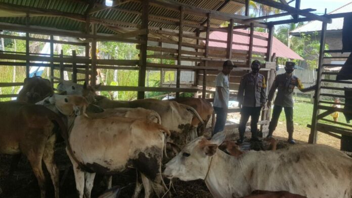 97733bbf1016e8b201fb08237aed941f