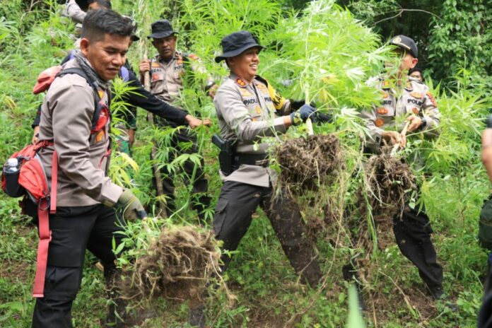 e6f8cfe61af07f7ba890e06124f243ee