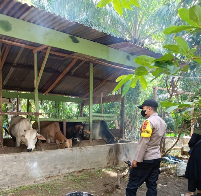 e9b5fefb37c9c2c69b12804527c63f91