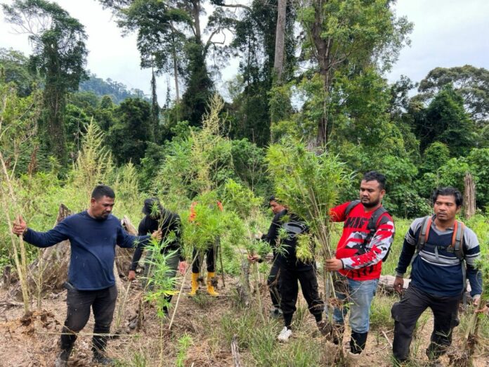 17fe862272e7c66cde656d69075c9167