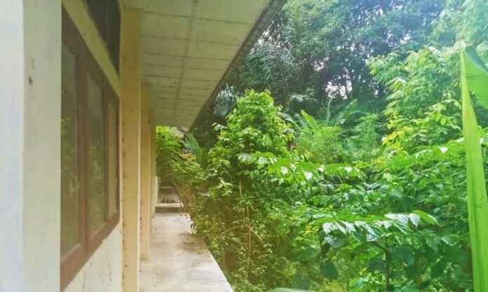 d57ef57252e19d2f45938f3c4d769898