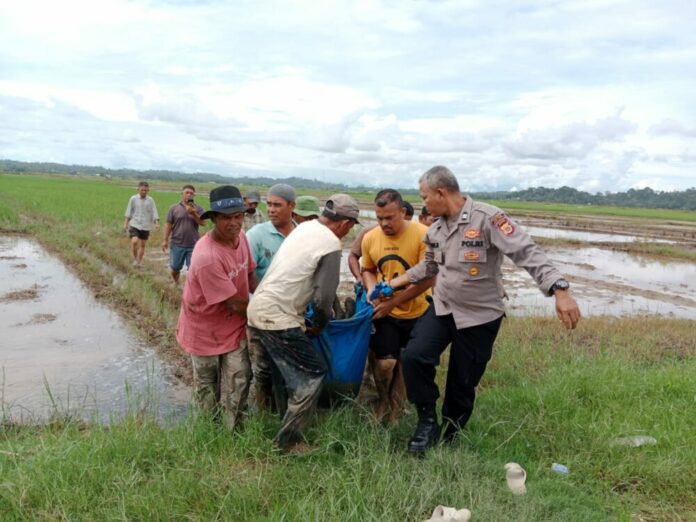 147ddd4e26f83eddededf65b83dd026e