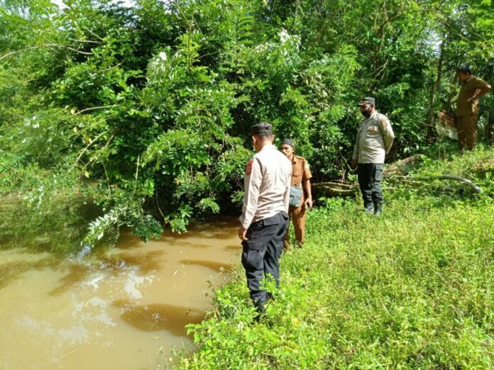 335264ba0a086bb8b2a1cc14b5b49bc8