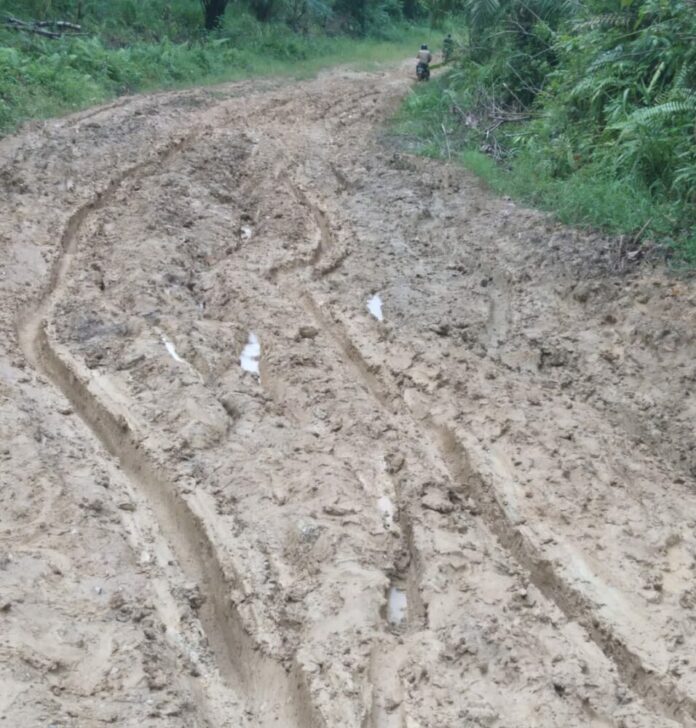 53db7cc7f63b1fc566e6e9b6e702ba3a