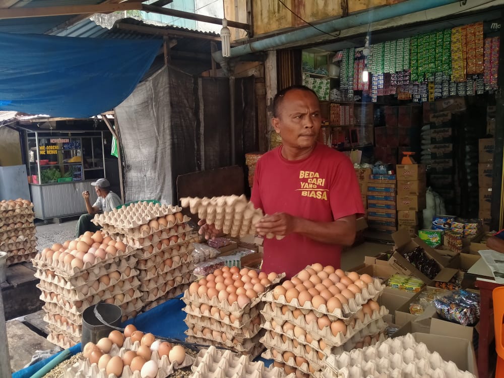 Harga Telur Ayam Ras Di Abdya Tembus Rp55 Ribu Per Papan Analisa Aceh 7557