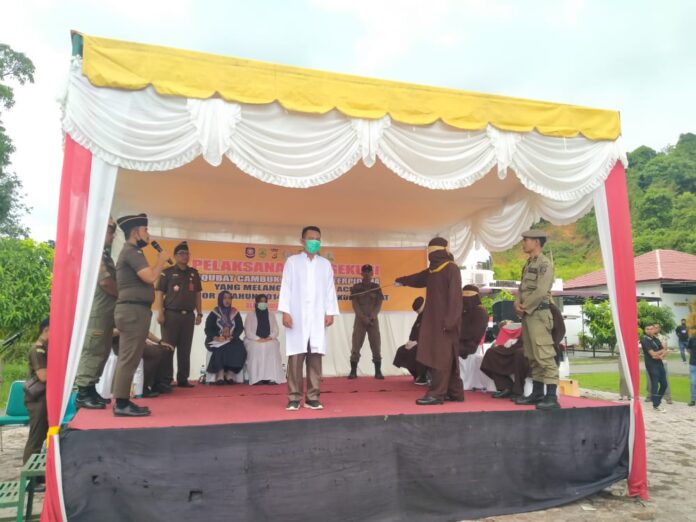 91e6fad829e39f0f69f8a9e037b76f17