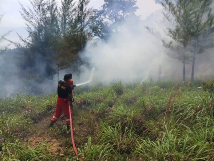 a39d5c24742324ec8a4fd310e11dffe9