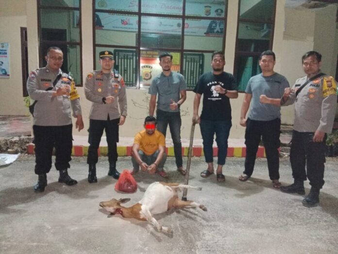 1e24ac8fb44ba44314bfedc15d279cea