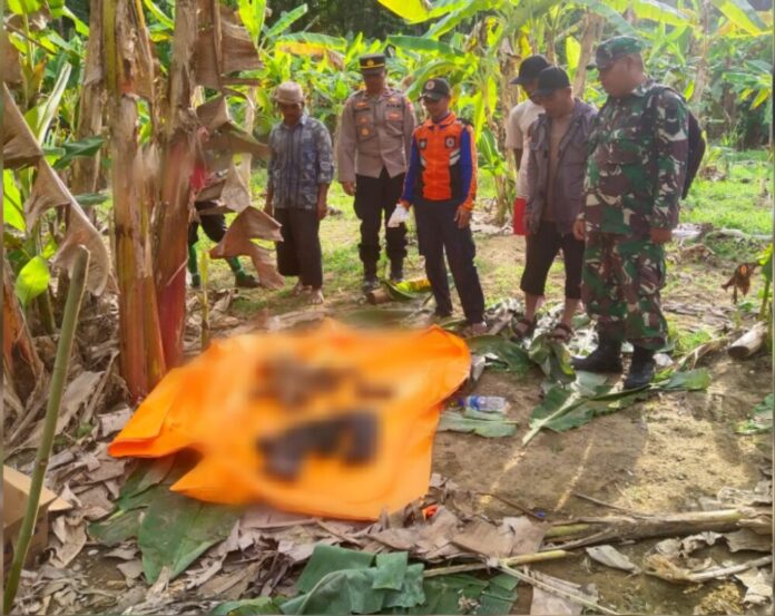 5be337aac8fa5a319e7dcf4e438646d0