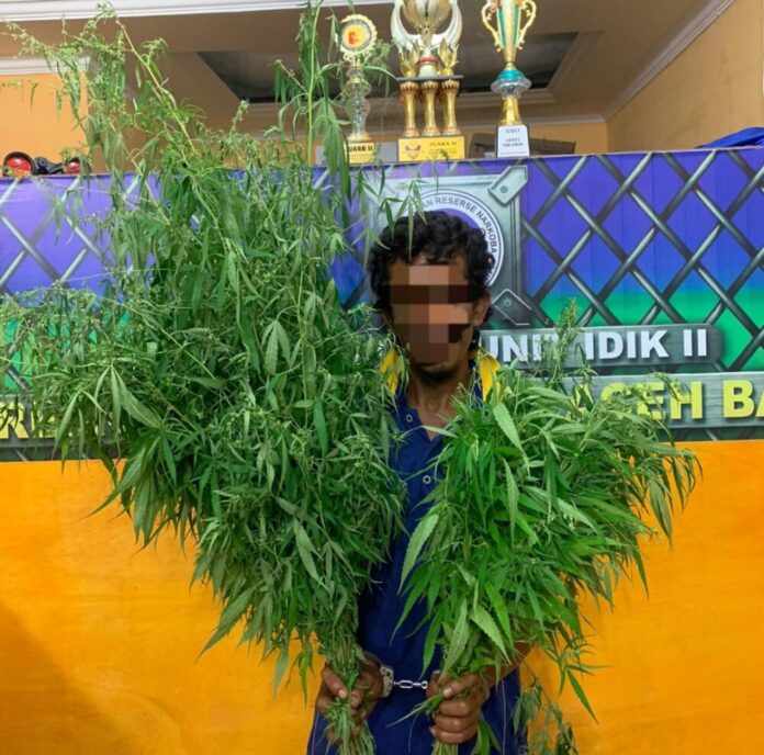 874c45e7505b275b683387b9b37e727d