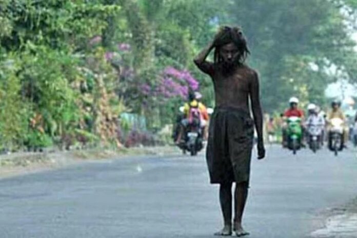 8cf5a09c8b450132697896268947d48d