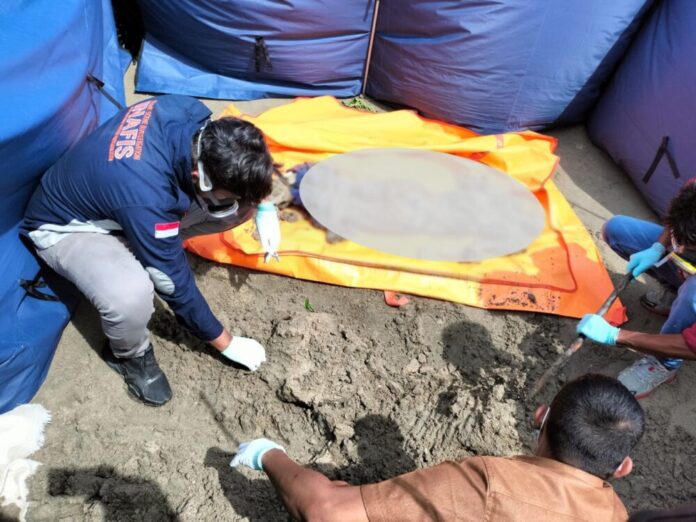 c6dad0c0bc71274f6c9f0aa422a1a261