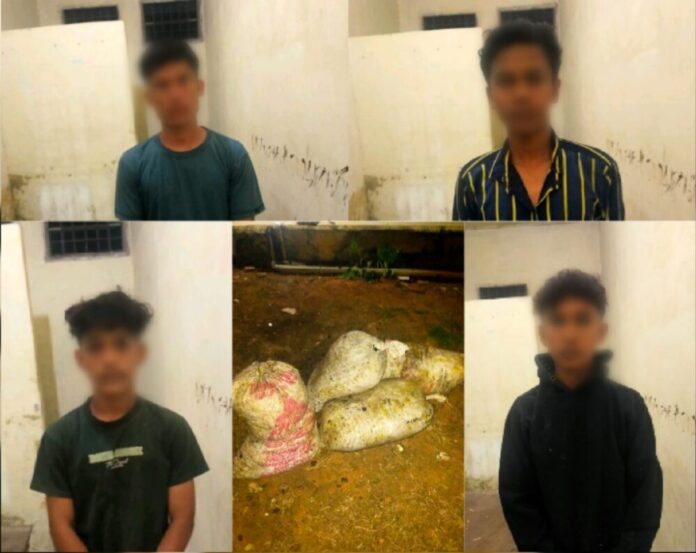 f8adf2775686f0b36689fb691bacd43f