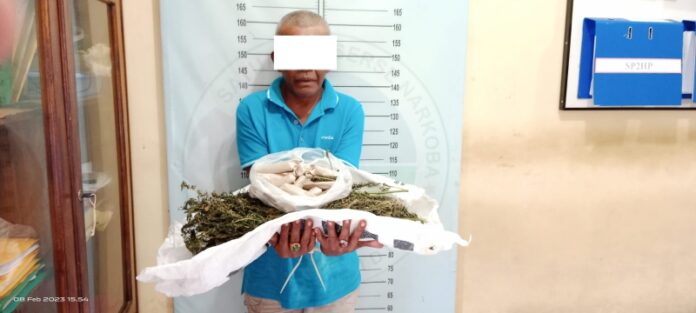 5696542eb7bff318d1a5d024b4b4d208