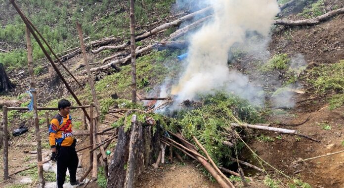 697dc37f107c6f97f89c3c429275d45d