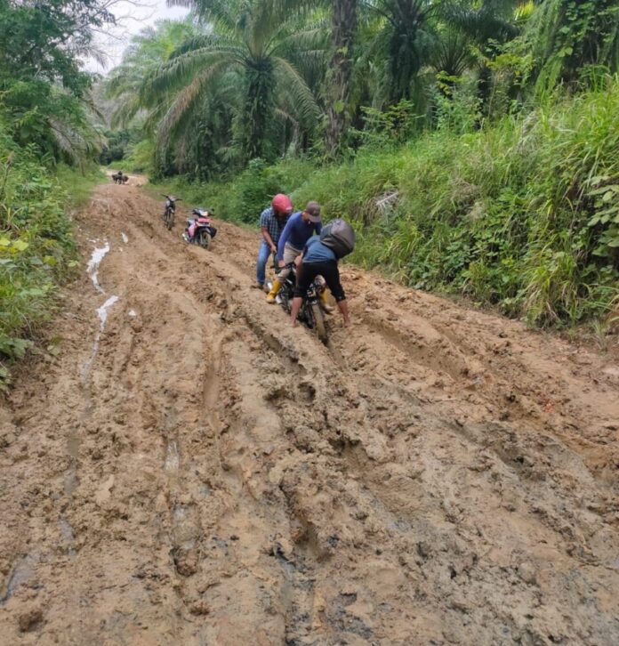 e1a41294048adc467221135620c7357e