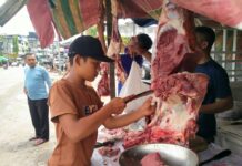 Harga Daging Meugang di Abdya Tembus Rp230 per Kilogram