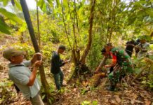 Pemilik Ternak Racuni Harimau, FJL Minta Polisi Pertimbangkan Aspek Kemanusiaan