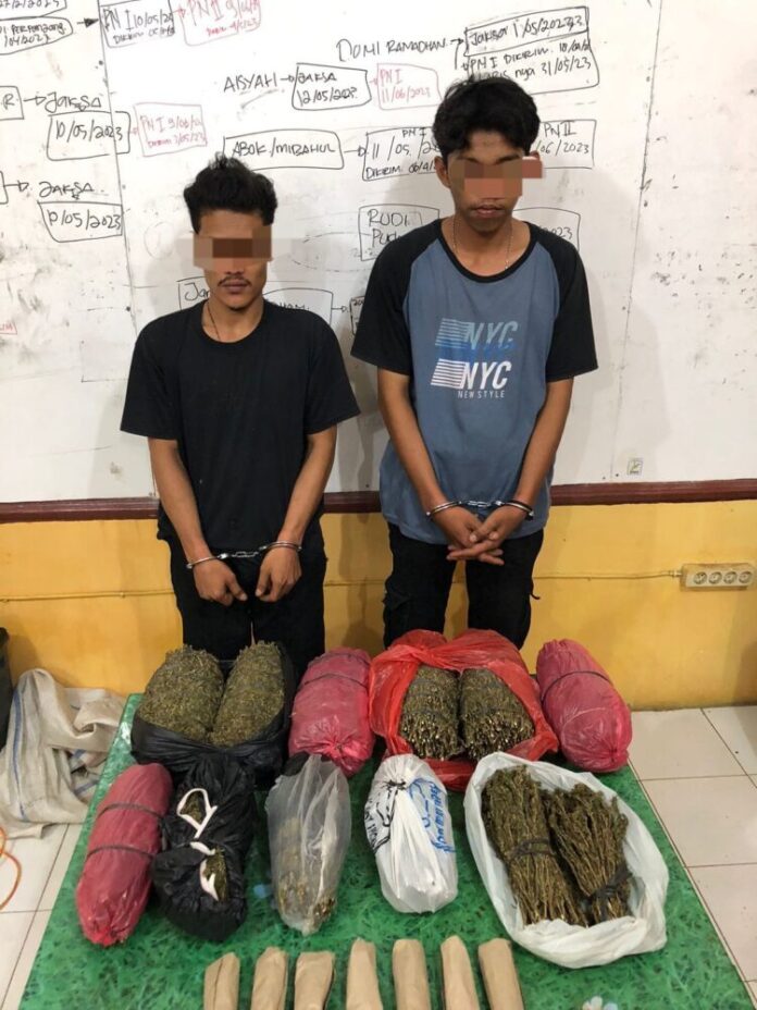 68c4a67022d86a3a2729d983369b026e