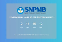 Link Pengumuman Hasil Seleksi SNBT SNPMB 2023