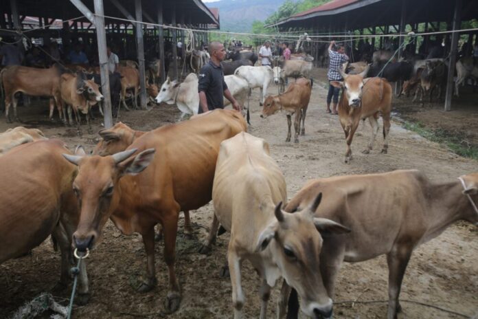 d95ee6b5d2120fabee3e25f8bae3d7f8