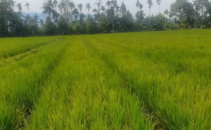 de9371bd6bbbb484067dba040ad1f210