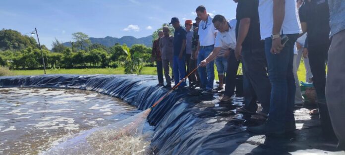 e9fba27de32e452e3112a47093b4846e