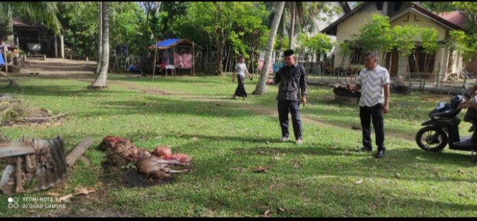 62c8de3c3b27bdf9f6f80ad4fc5355c0