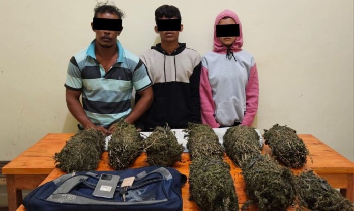 903c5853287bde66efff9904e395c2b5