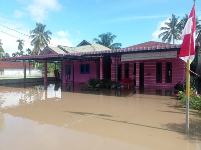 f535b601984031de65f9e791ab7ca517