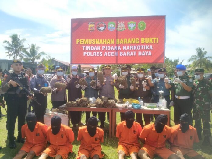 31b6ac48da8e2a517736ec3e7c8822e3