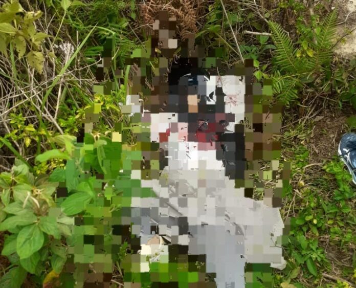 853d763d4aa4fae4921e530576893326