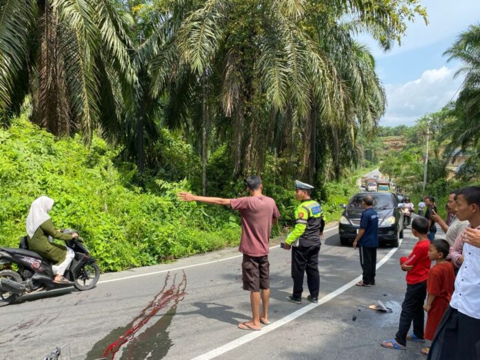 c3c8dafa0b0727d0a41b88b647f48617