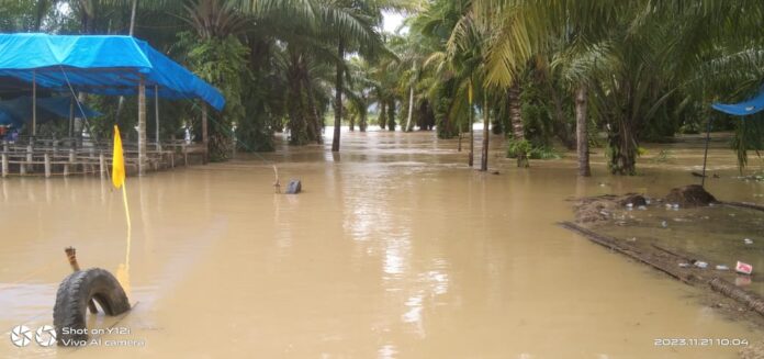 13021a3424e846e7666325500b2f6038