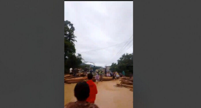 84e63bca2a2a499a56618a371a98f86d