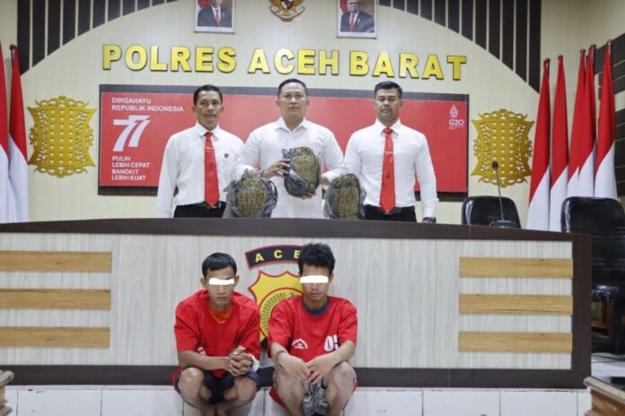 a190988d765bcf69ca21d0724281fd6a