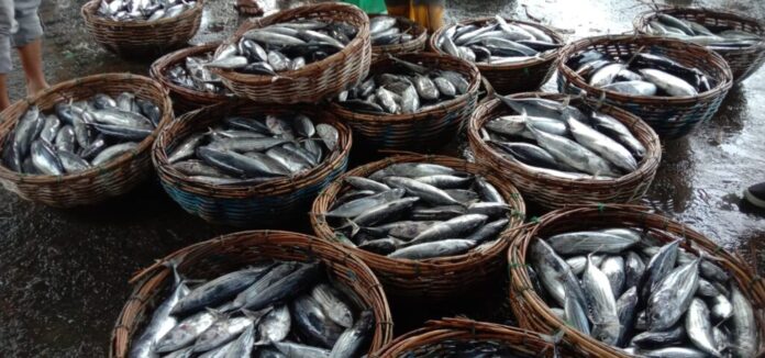 5ccf2104a34871826740cd020029b3e3