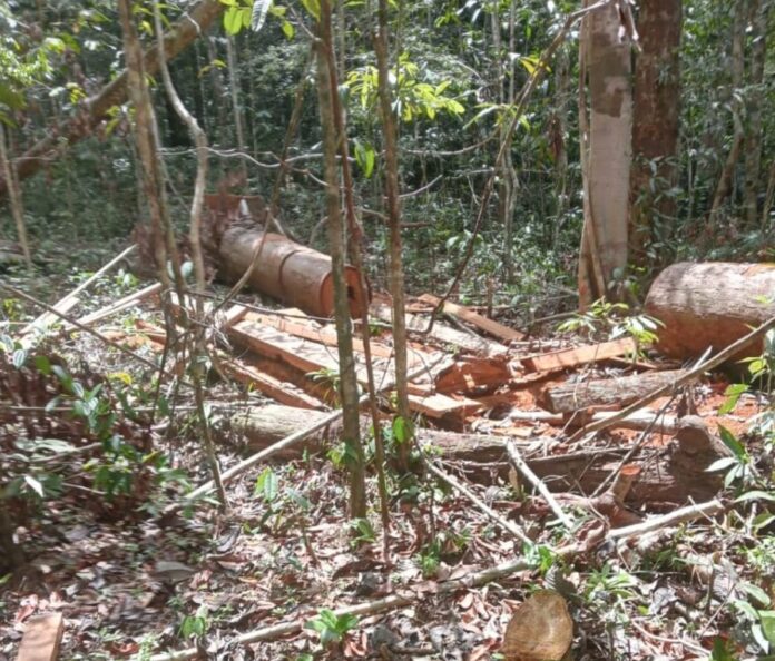 4340780e3a0fc412df8f92ed274dadaf