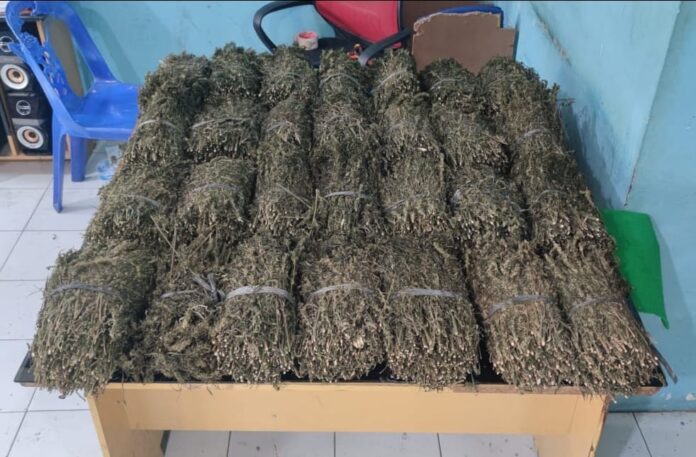 7b74028df9dd04587c4cafb888286363