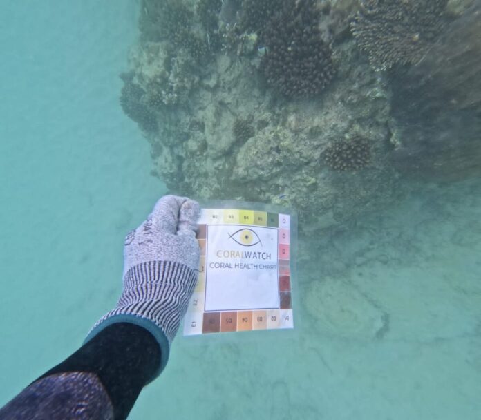 987af67dae7290353eae7c98c457a01d