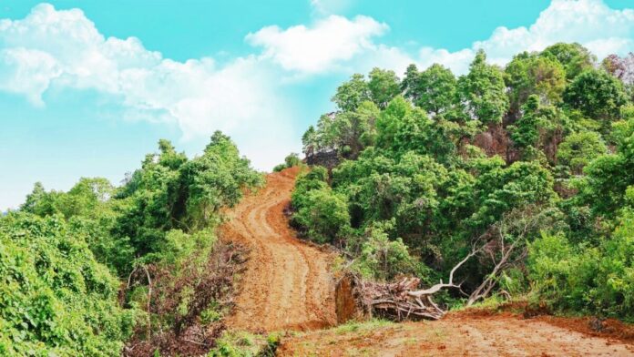 c2724d3129dcfdd4df12bc7a330eef2e