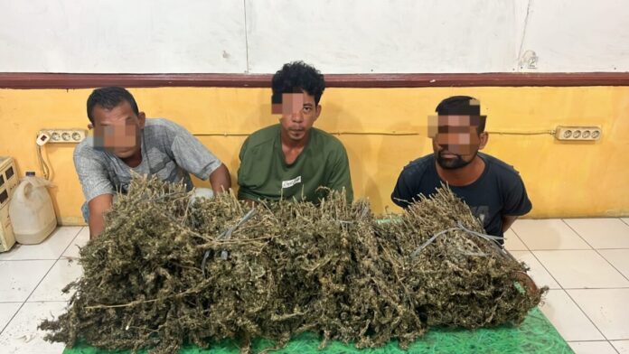 45ed82f150800f2505ee76c9c60233f4