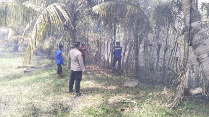 c11b956c58ab87ad9fe52c2ce05e05cc Lahan yang terbakar lahan, foto : BPBD Aceh Besar.