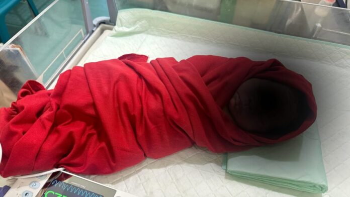 1fcf8cd88472caaa29119f8ef0fc6018